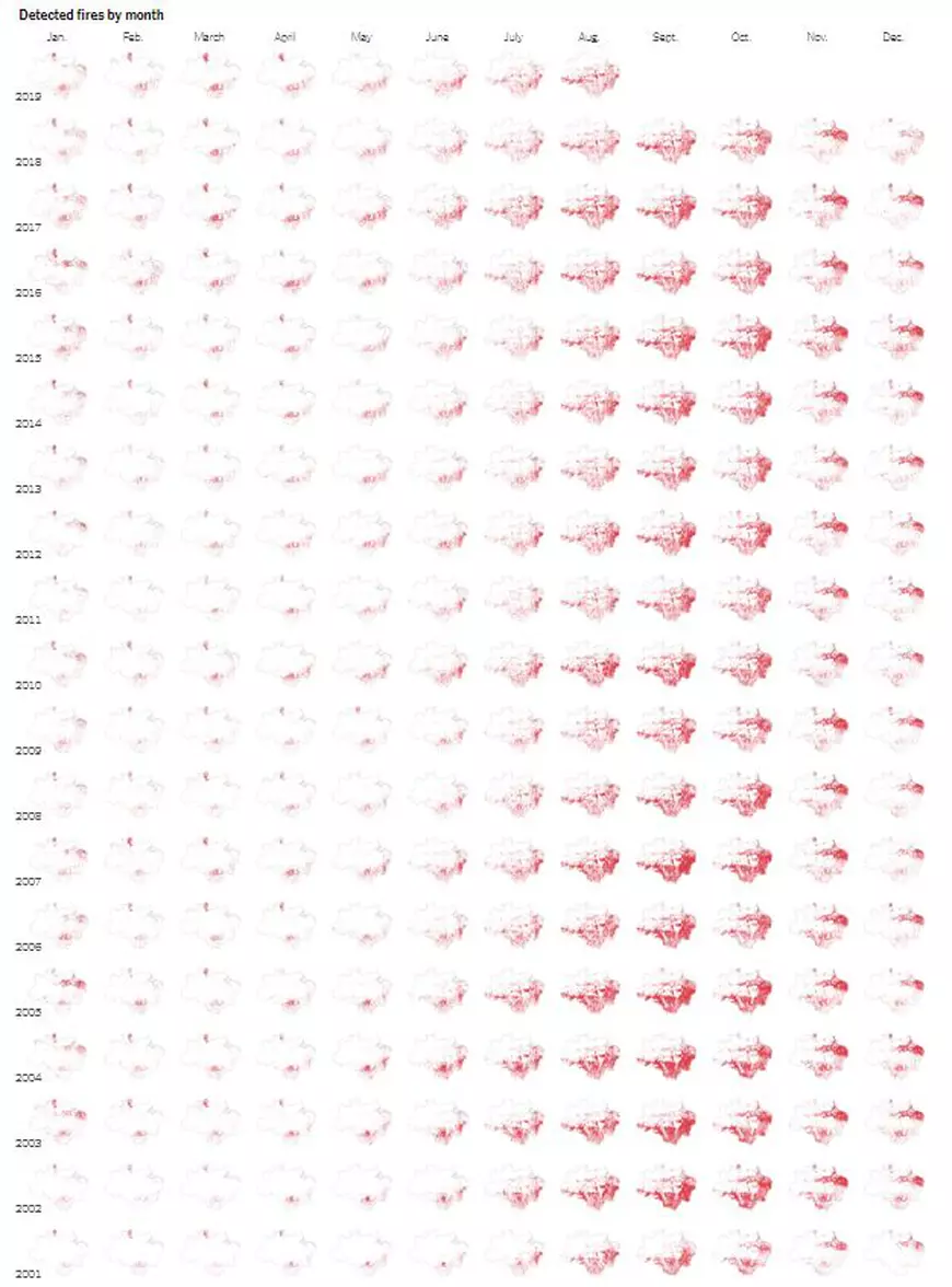 Incendiile din Amazon, o practică obișnuită de pregătire a terenului agricol. Cum diferă incendiile din 2019 față de cele din anii precedenți