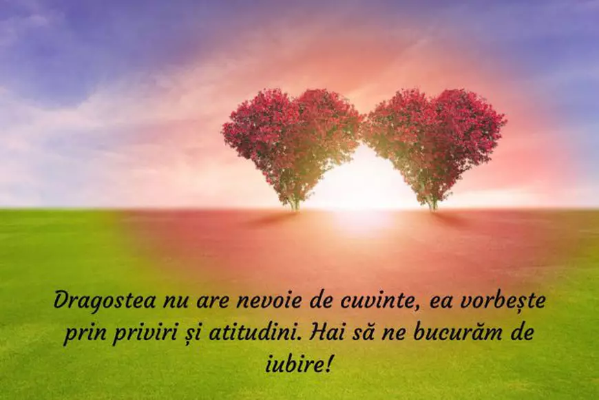 Mesaje De Dragoste Cele Mai Frumoase Mesaje Pe Care Să Le Trimiți Persoanei Iubite Libertatea