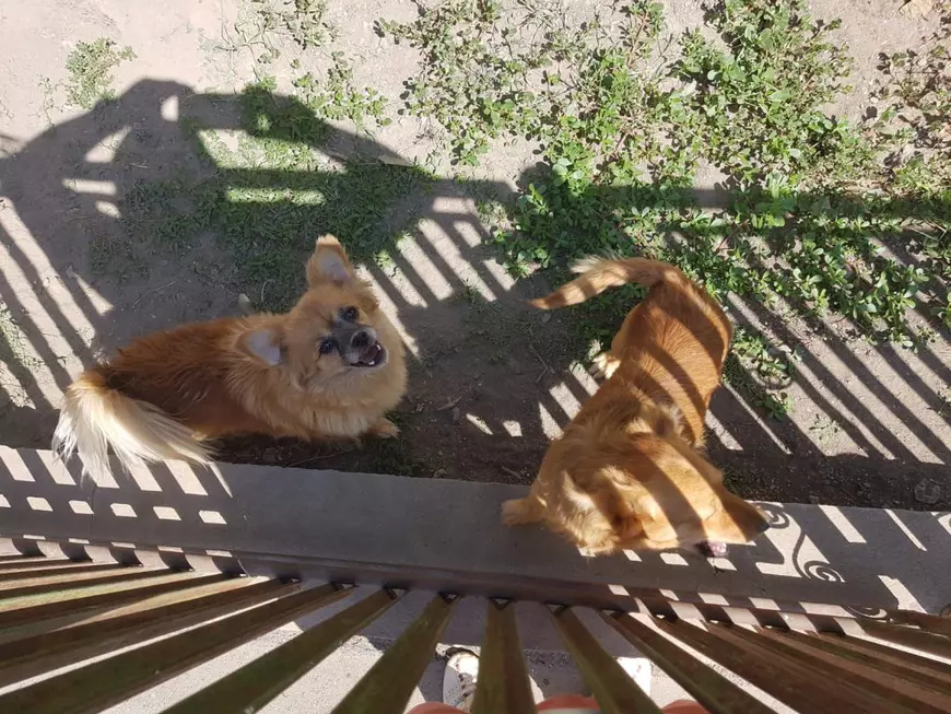 7 superlecturi de weekend. De la operatoarea 112 care înjură o femeie romă bătută la părinții care își salvează fetele din mâinile proxeneților