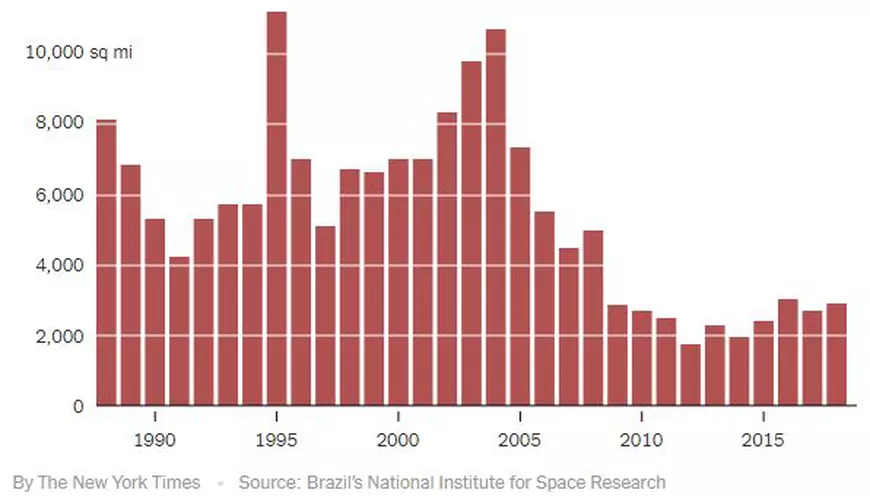 Incendiile din Amazon, o practică obișnuită de pregătire a terenului agricol. Cum diferă incendiile din 2019 față de cele din anii precedenți