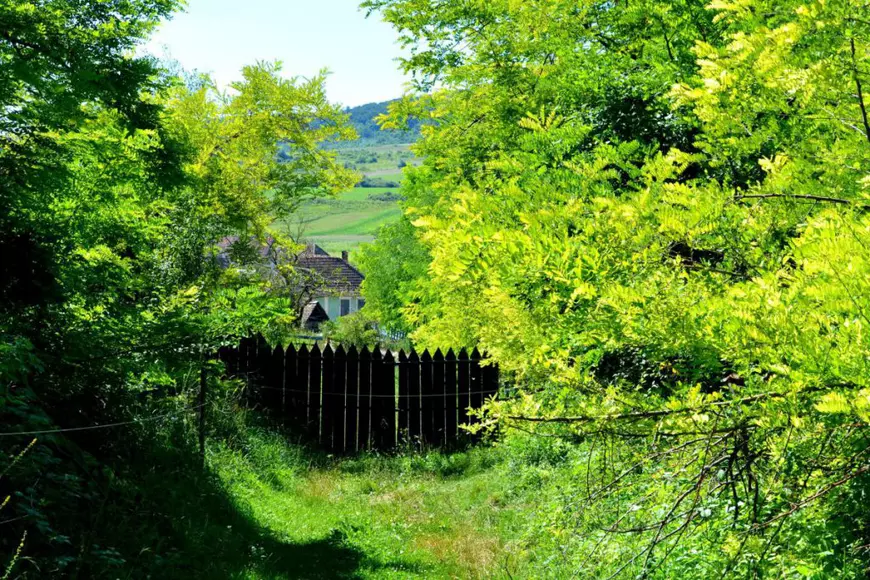 „Transilvania, noua Toscana a Europei” | Comparația făcută de Financial Times între satele săsești și cele din Italia, cunoscute în întreaga lume