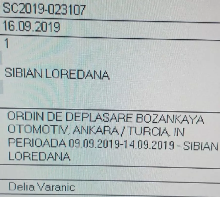 Opt funcționari ai Primăriei Timișoara au mers în vizită la fabrica de tramvaie din Turcia, dar s-au relaxat și în baloane! Distracție în Cappadocia