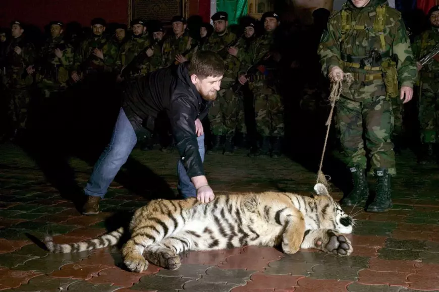 Extravaganțe, cadouri și tigri în cușcă! Legăturile liderului cecen Kadîrov cu fotbaliștii români. Povești dintr-o altă lume