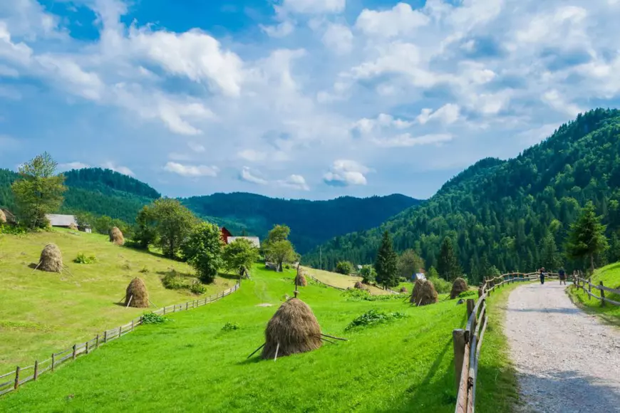 Muntii Apuseni