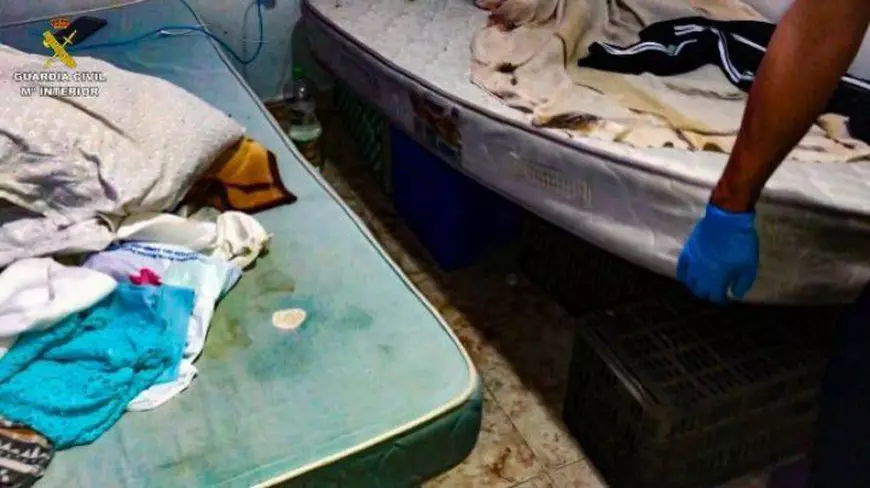 Sute de români și moldoveni, sclavi la ferme din Spania. Erau plătiți cu 10 euro pe zi, în timp ce șefii grupării câștigau 1 milion de euro pe lună