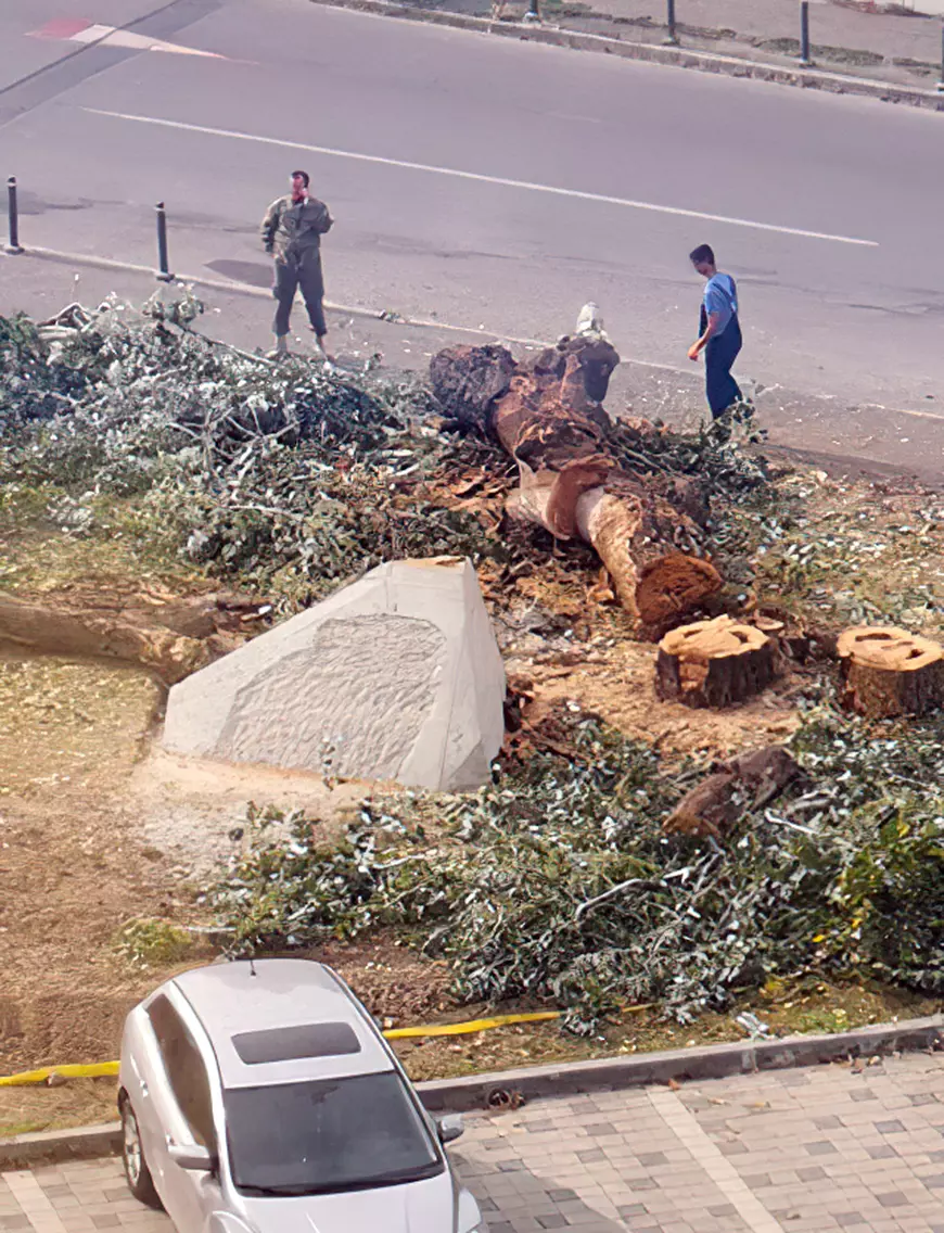 Piața NATO: un postament pentru steaguri de 34.000 de euro și un copac tăiat ilegal. Primăria: «Nu au avut aviz de defrișare». Armata: «O să plantăm 15 pomi»