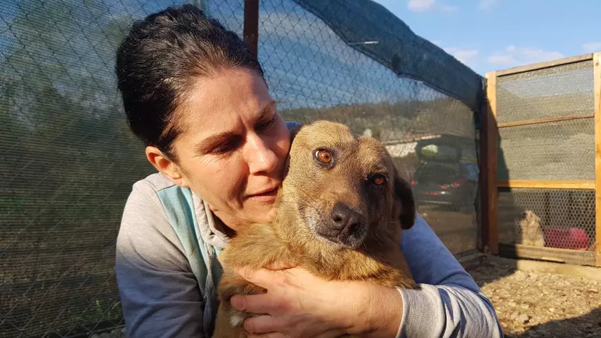 Vagabonzii din Haimanale. Gabriela, o asistentă medicală, are grijă de câinii nimănui din satul lui Caragiale