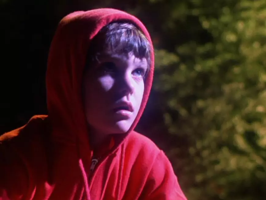 Staruri care au cunoscut succesul la vârste fragede, după care au dispărut din lumina reflectoarelor