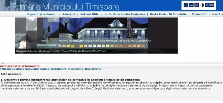 O directoare a unei firme de deratizare acuză modul de avizare a societăților cu această activitate în Timișoara: ”Sincer? Nu există nici un control”