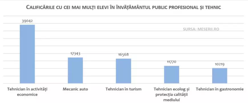 Cele mai căutate meserii în învățământul profesional și tehnic. Top 5 specializări
