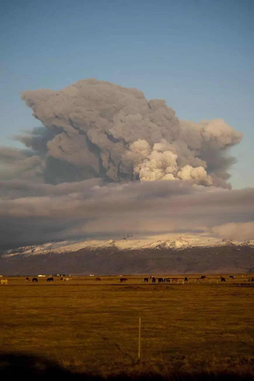 Evenimentele care au marcat ultimul deceniu. Ce s-a întâmplat în lume din 2010 până în prima zi din 2020