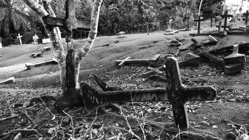 Fordlandia: uimitoarea poveste a orașului utopic ridicat de Henry Ford în jungla amazoniană. Un experiment social eșuat