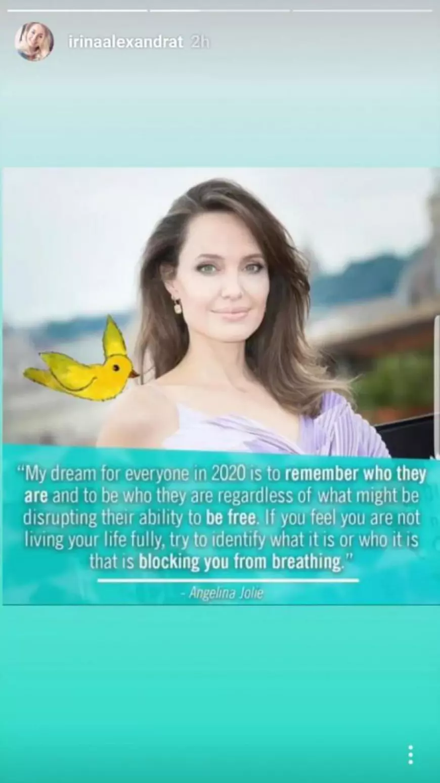 Irina Tănase, mesaj enigmatic pentru Liviu Dragnea în ultima zi a anului