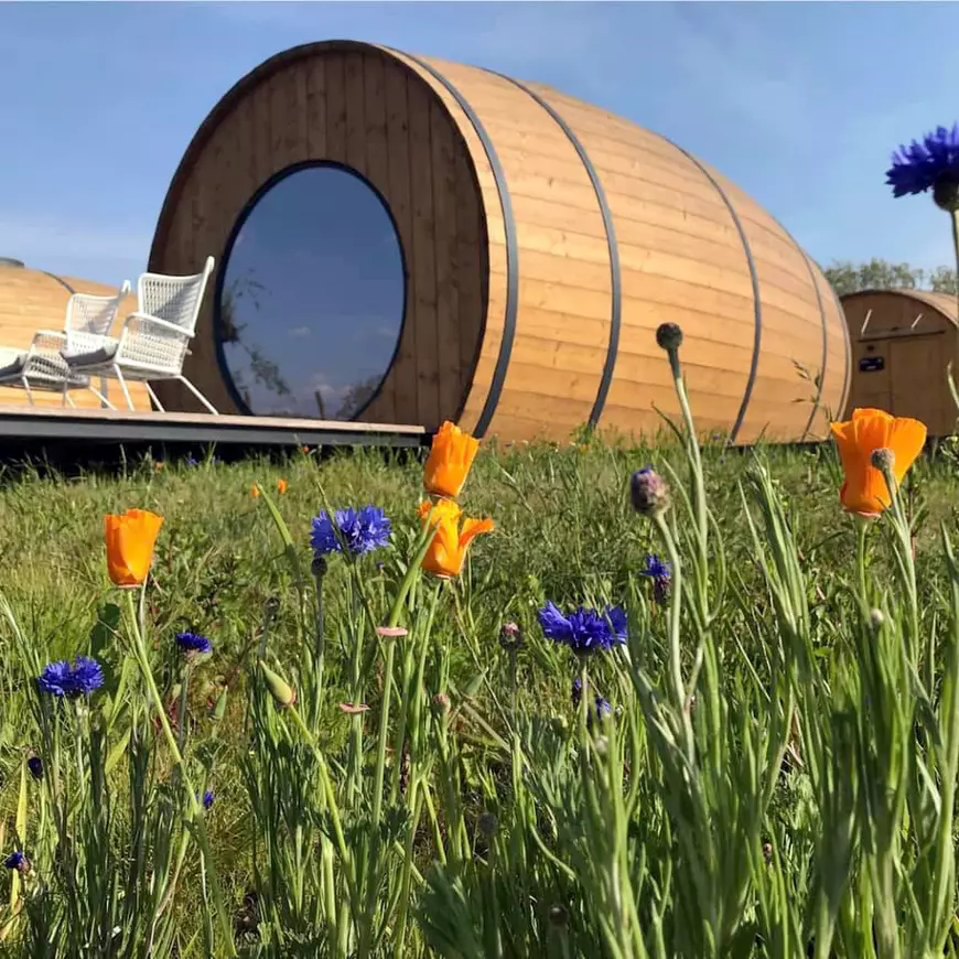 Un tânăr de 23 de ani vrea să dea lovitura în agroturism. Îi cazează pe turiști în butoaie de lemn: "M-am gândit să fac ceva unic în România"