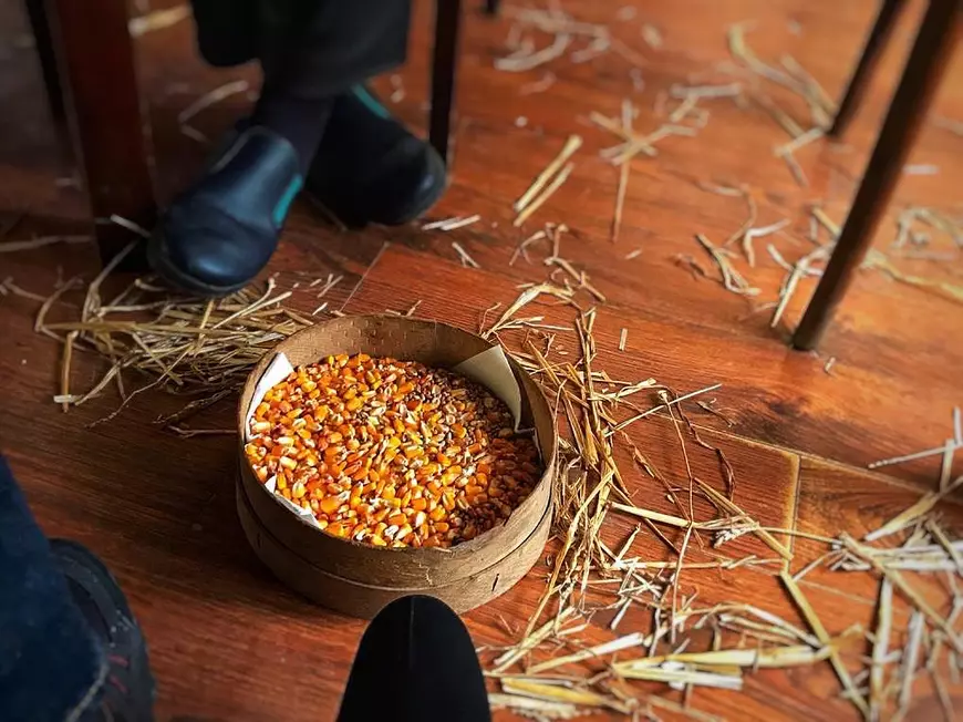 Crăciunul pe rit vechi. Totul despre masa de sărbătoare a sârbilor din Banat, de la un blogger culinar celebru