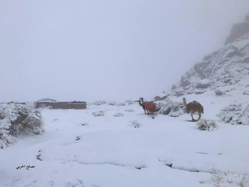 Fenomen straniu în Arabia Saudită. Nisipul din deșert a fost acoperit de zăpadă!