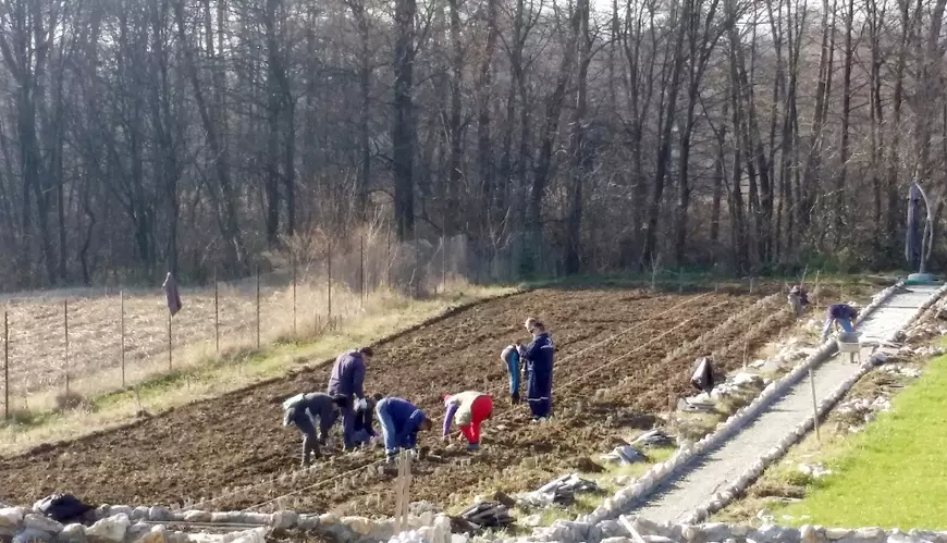 O afacere mov și căsuţa din poveşti plină cu visuri. Cum a transformat o tânără din Târgu Jiu o tufă de lavandă într-un business de succes