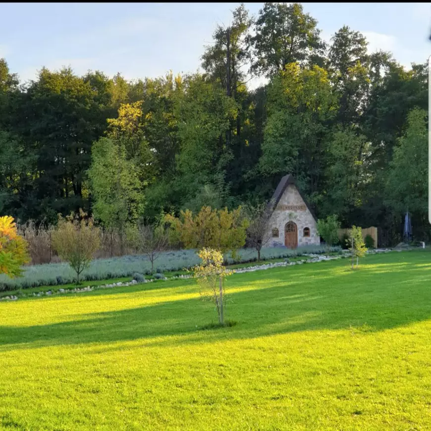 O afacere mov și căsuţa din poveşti plină cu visuri. Cum a transformat o tânără din Târgu Jiu o tufă de lavandă într-un business de succes