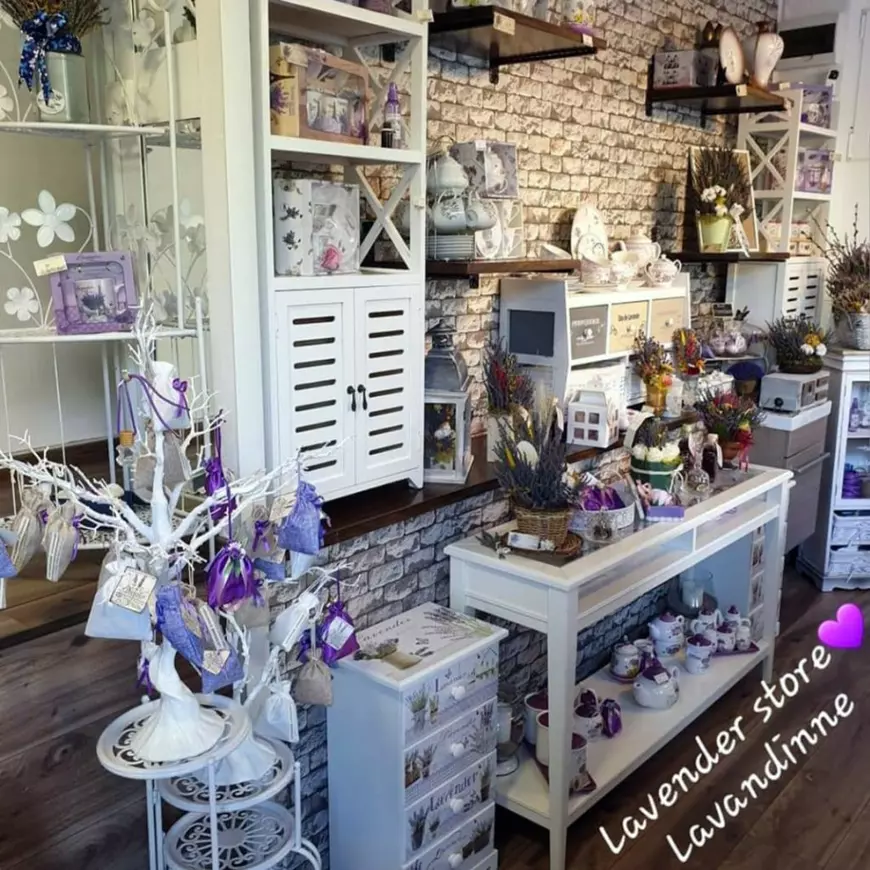 O afacere mov și căsuţa din poveşti plină cu visuri. Cum a transformat o tânără din Târgu Jiu o tufă de lavandă într-un business de succes