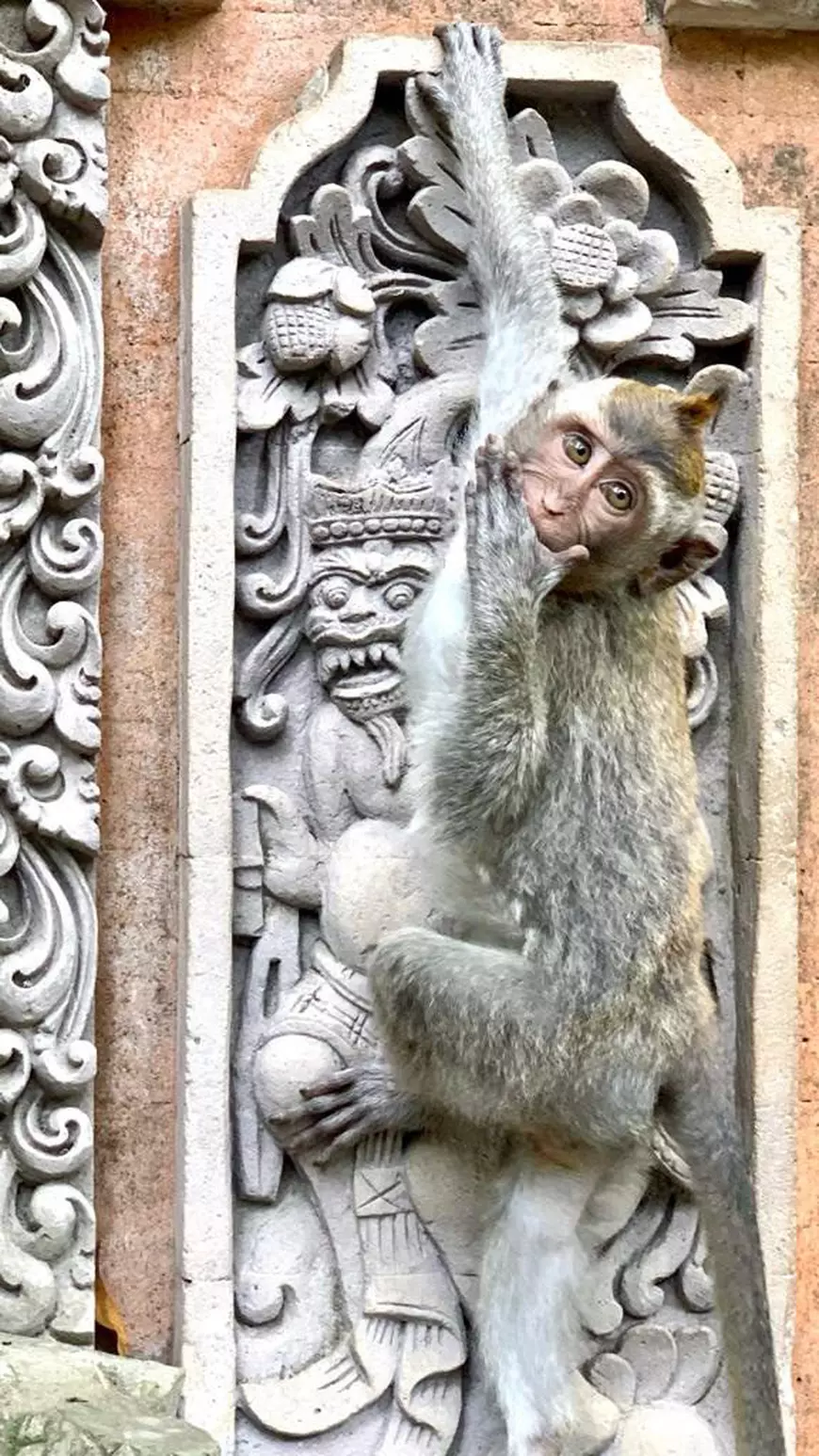 Cum să combini două experiențe total diferite în Indonezia. Ponturi de vacanță de la Dragoș Stanca, expert media și pasionat de scufundări