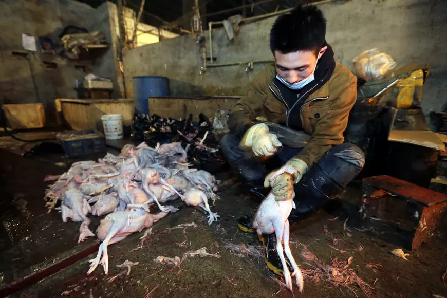 Ce este și de unde vine coronavirusul. Principalele ipoteze din online