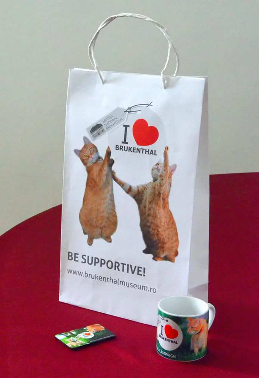 Ei sunt Antonello și Donatello, motanii mascotă ai Muzeului Brukenthal