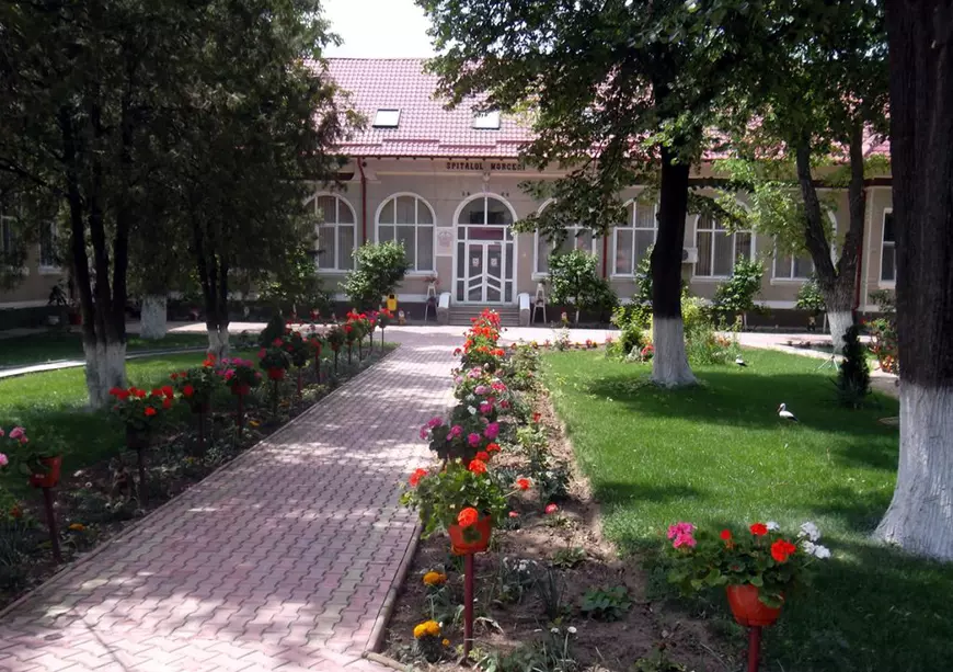 Psihologii din spitalele de psihiatrie din România. ”Sistemul românesc e cel european din anii ‘20, e ca o muscă prinsă-n chihlimbar”