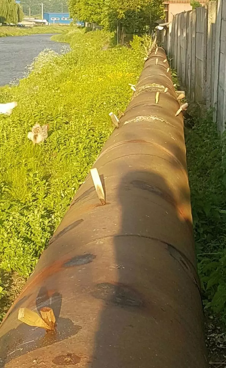 Conductă de apă din Haţeg, "reparată" cu ţepuşe de lemn. Explicația companiei pentru această situație