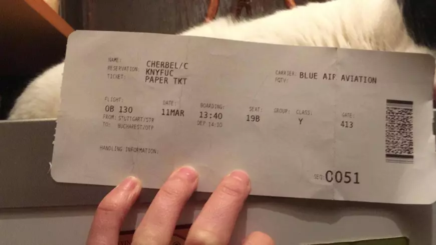 EXCLUSIV | În timp ce autoritățile de la București îi sfătuiau pe românii din Italia să nu vină în țară, MAE le căuta zboruri cu escală ca să fenteze sistemul