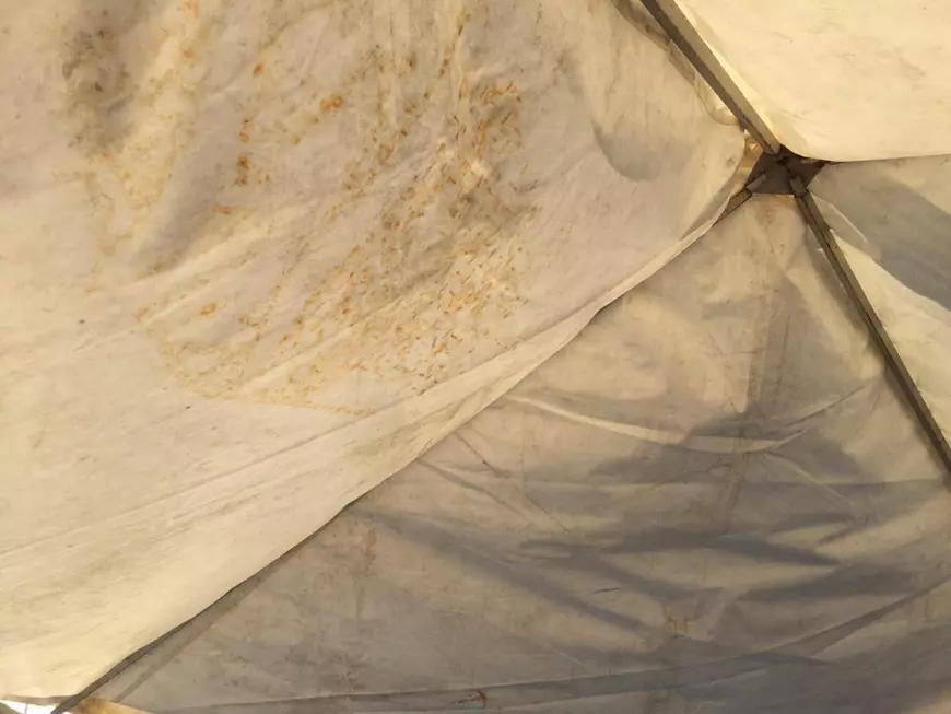 Cum au refuzat medicii din Lugoj un cort de triaj murdar, instalat de ISU: „Nu suntem la Oktoberfest”