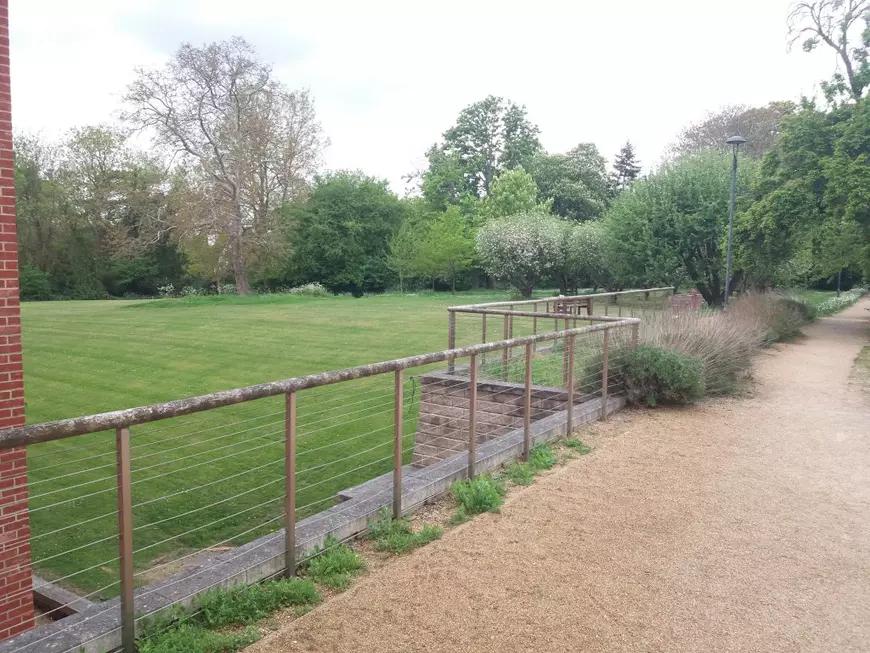 Cercetător român la Cambridge, captiv într-un campus gol. Universitatea engleză a mai fost închisă doar acum trei secole, în timpul ciumei bubonice