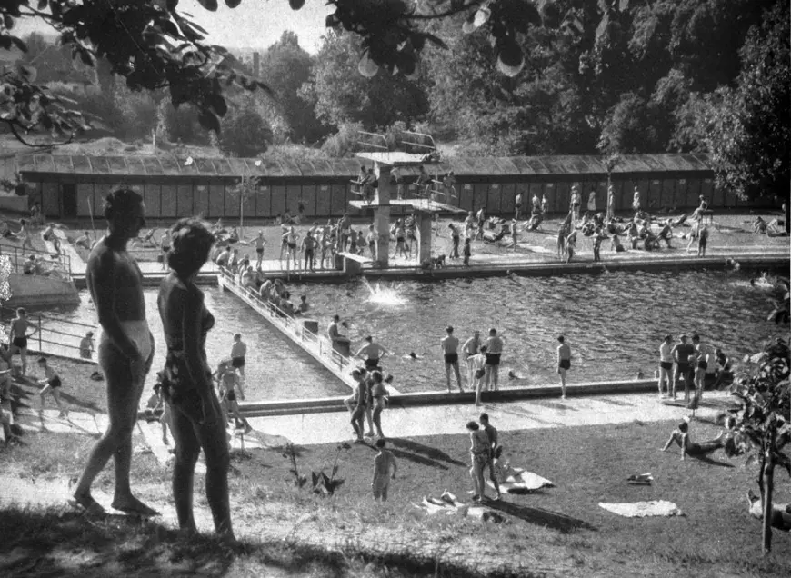 Cultură în online. Hamletul de la Timișoara, frate cu ciobănașul mioritic