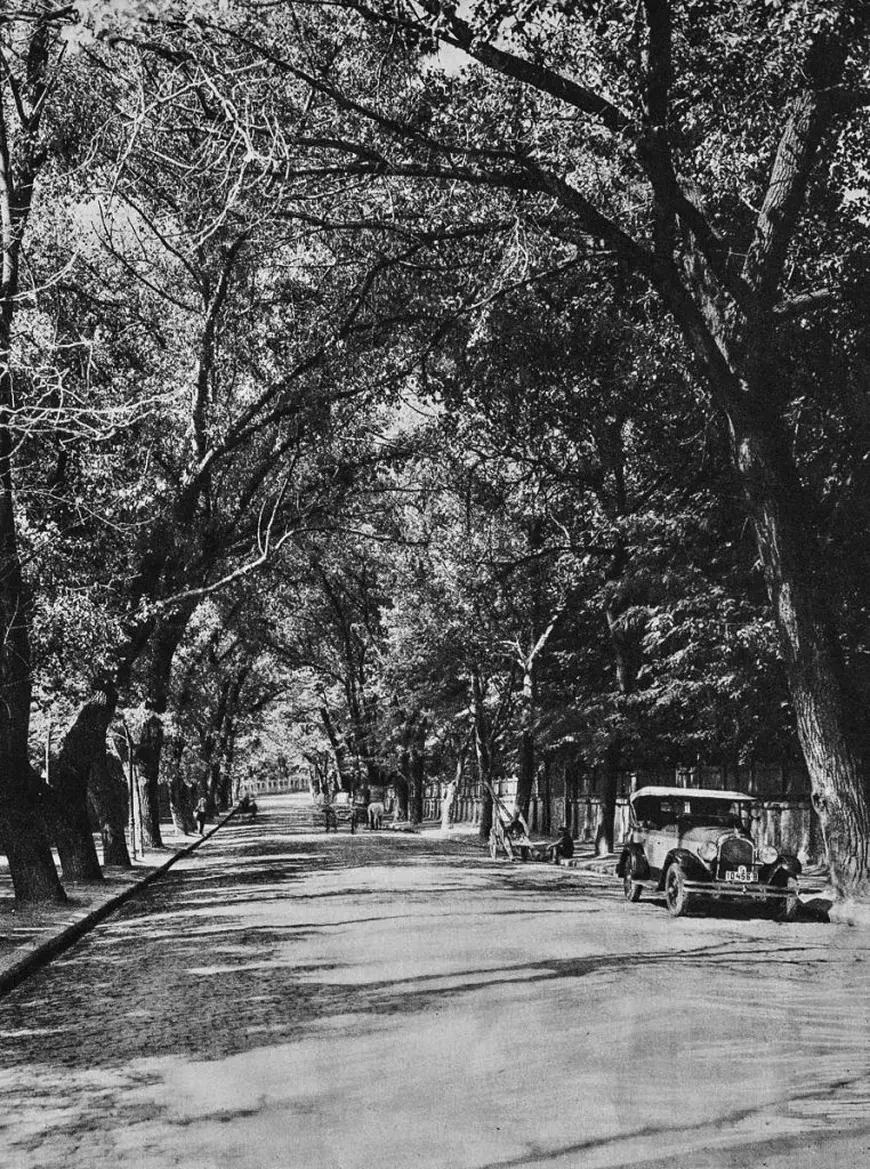 Cultură în online. Hamletul de la Timișoara, frate cu ciobănașul mioritic