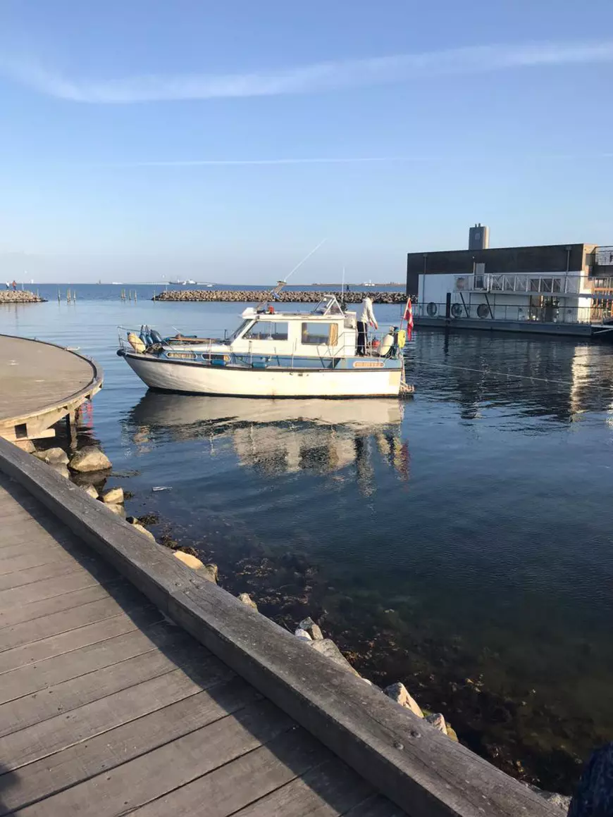 Danezii au petrecut Paștele catolic în parcuri și la plajă. Distanță socială pe pătură