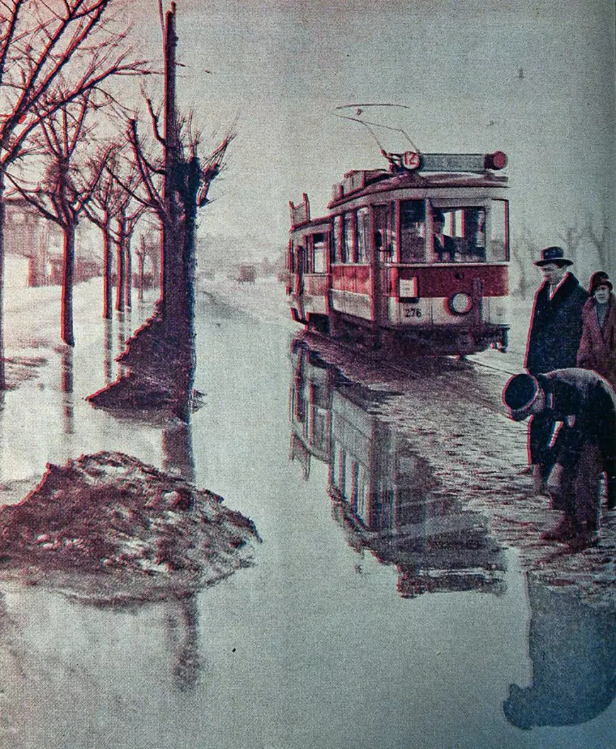 Cultură în online. Hamletul de la Timișoara, frate cu ciobănașul mioritic