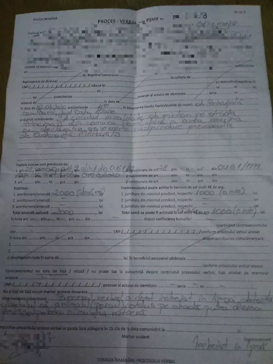 O sătmăreancă, amendată cu 2.000 de lei după ce a ieşit din curte fără declaraţie pentru a prinde porcul scăpat din curte