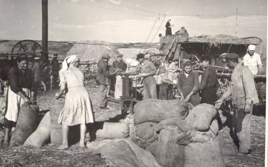 Seceta din agricultură comparată de specialiști cu cea din ’47, care a provocat o imensă criză alimentară. Cum a fost, de fapt, marea foamete de atunci, când românii măcinau coajă de copac?