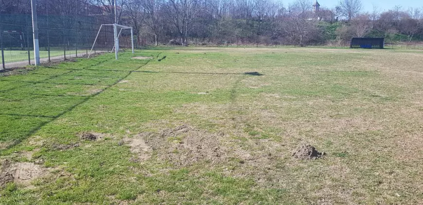 Primăria din Dragomirești Vale, achiziție de pandemie: gazon de fotbal de 89.000 de euro. Mai scump decât la Arena Națională