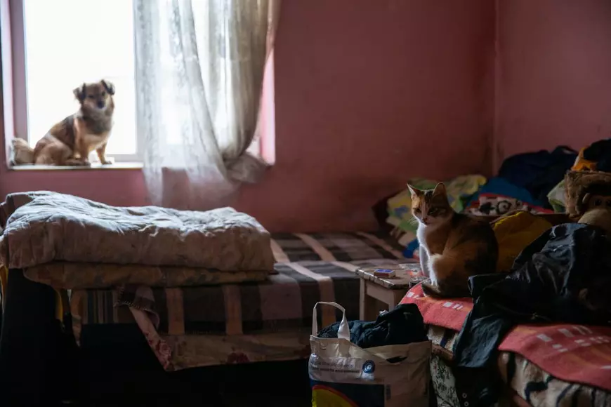 Oameni fără nici o armă în fața coronavirusului. Igienă la lighean și veceuri turcești în ”blocurile grecești” din Ștefănești