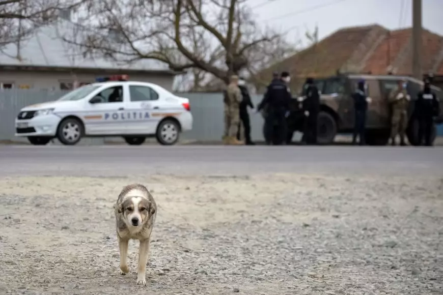 Rasismul antiromi crește împreună cu vocile populiste în perioada pandemiei COVID-19 și ne periclitează pe toți