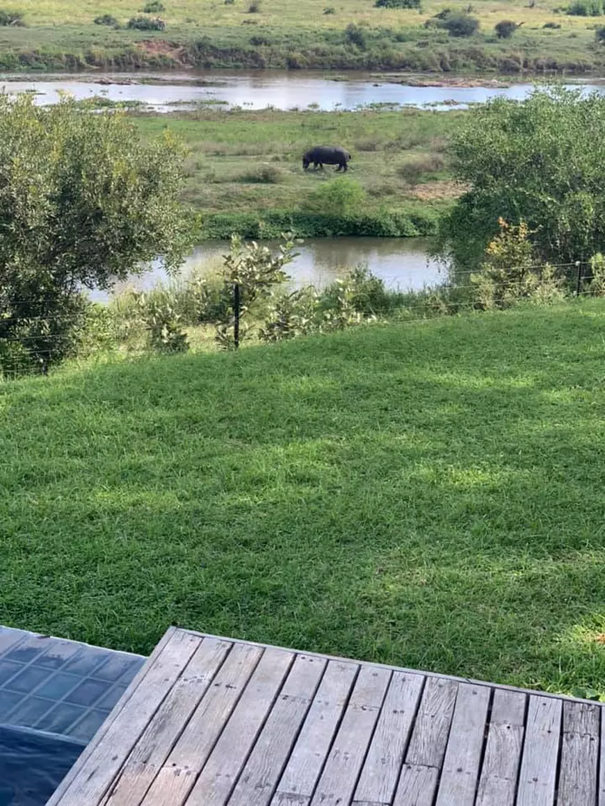 Oamenii din întreaga lume găsesc feluri noi de a fi împreună în izolare: ce văd pe fereastră cei care #stauacasă. România, vedetă peste noapte