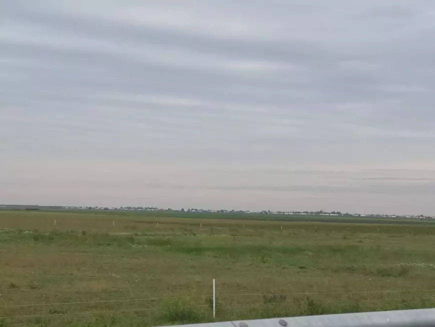 VIDEO | Infernul din Vama Nădlac. Disperarea unei femei care e blocată de peste 10 ore la frontieră: „E o bătaie de joc incredibilă”