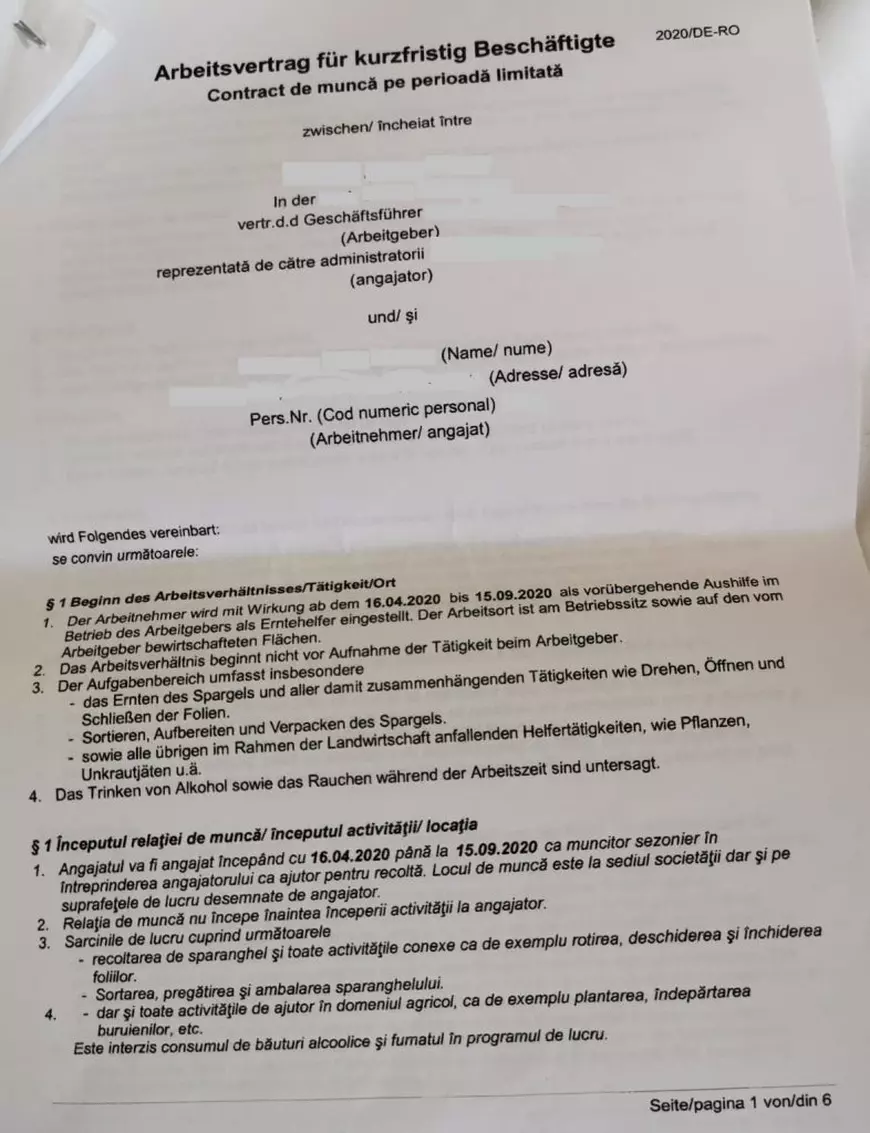Atenție la „capcane”! Specialiști în legislația muncii atrag atenția asupra clauzelor „la limita legii” din contractele sezonierilor de la o fermă de sparanghel din Germania