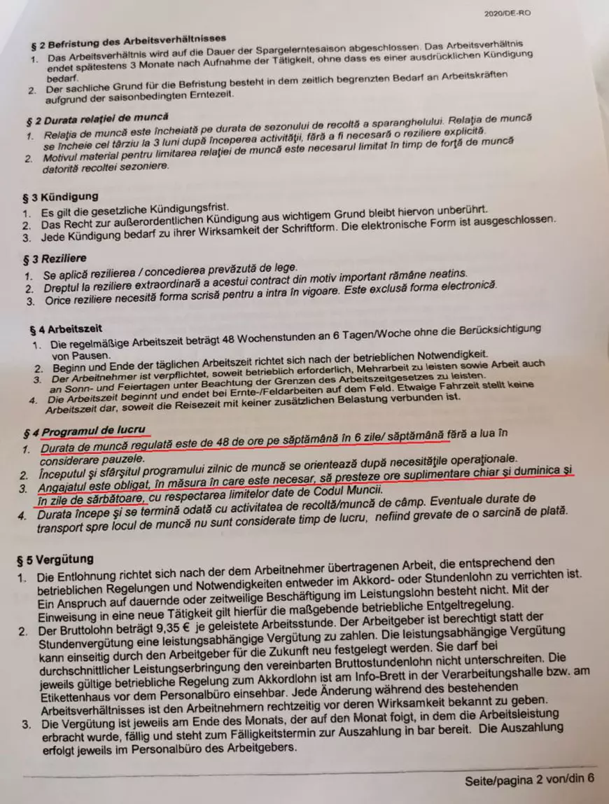 Atenție la „capcane”! Specialiști în legislația muncii atrag atenția asupra clauzelor „la limita legii” din contractele sezonierilor de la o fermă de sparanghel din Germania