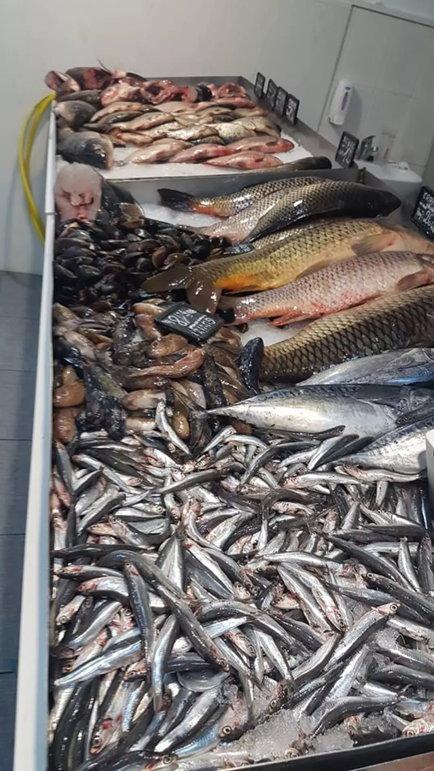 Dezastru în piețele din Slobozia. Carne stricată, mucegai și jucării periculoase, puse în vânzare. ANPC  a dat amenzi uriașe