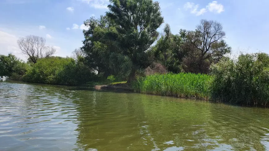 REPORTAJ | Călătorie în Delta Dunării, locul în care pandemia nu a însemnat mai nimic. Izolați dintotdeauna, oamenii abia așteaptă puținii turiști