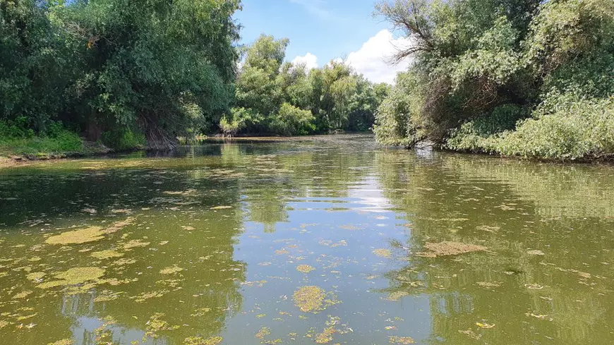 REPORTAJ | Călătorie în Delta Dunării, locul în care pandemia nu a însemnat mai nimic. Izolați dintotdeauna, oamenii abia așteaptă puținii turiști