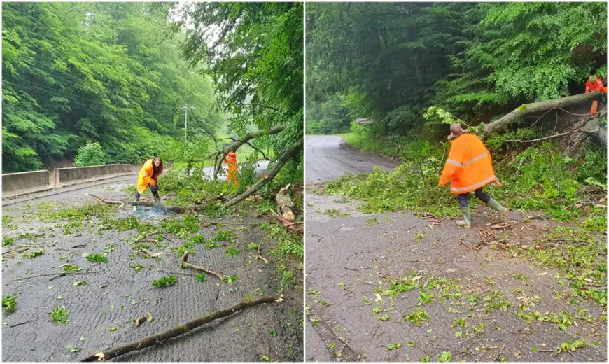 Imagini incredibile dintr-un sat din Constanța măturat de viitură. Localnică: “I-a luat apa mașina! E jale”