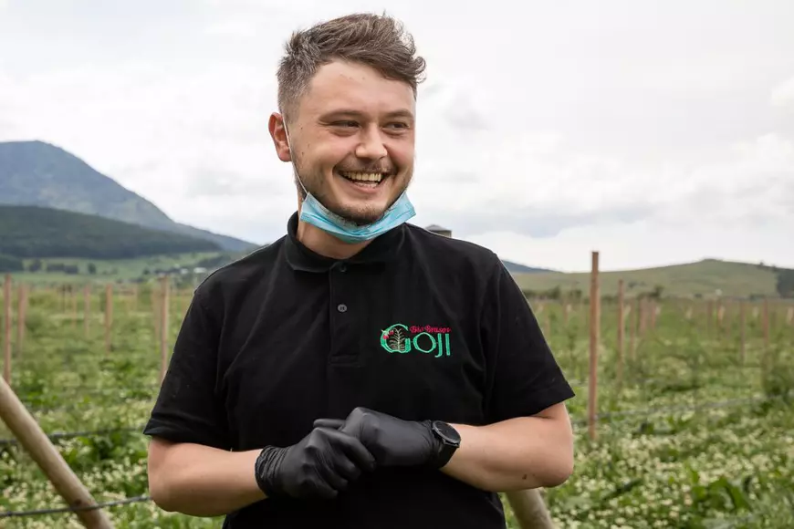Ce i-a determinat pe doi tineri să renunțe la avocatură și să se apuce de cultivat goji: “Vin italienii, nemţii şi fac proiecte frumoase în agricultură. Românii de ce nu fac?”