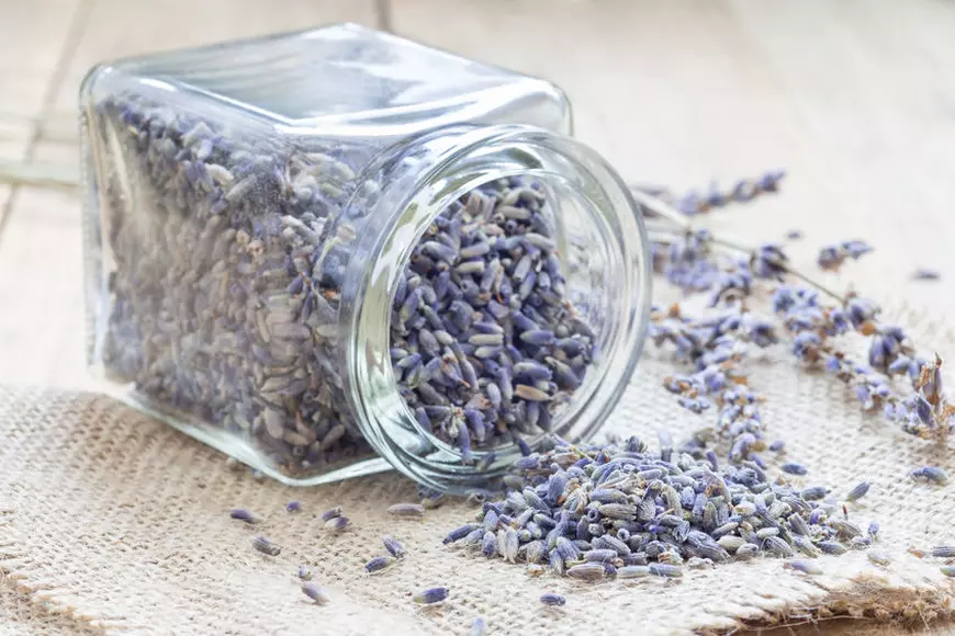 Flori uscate de lavandă